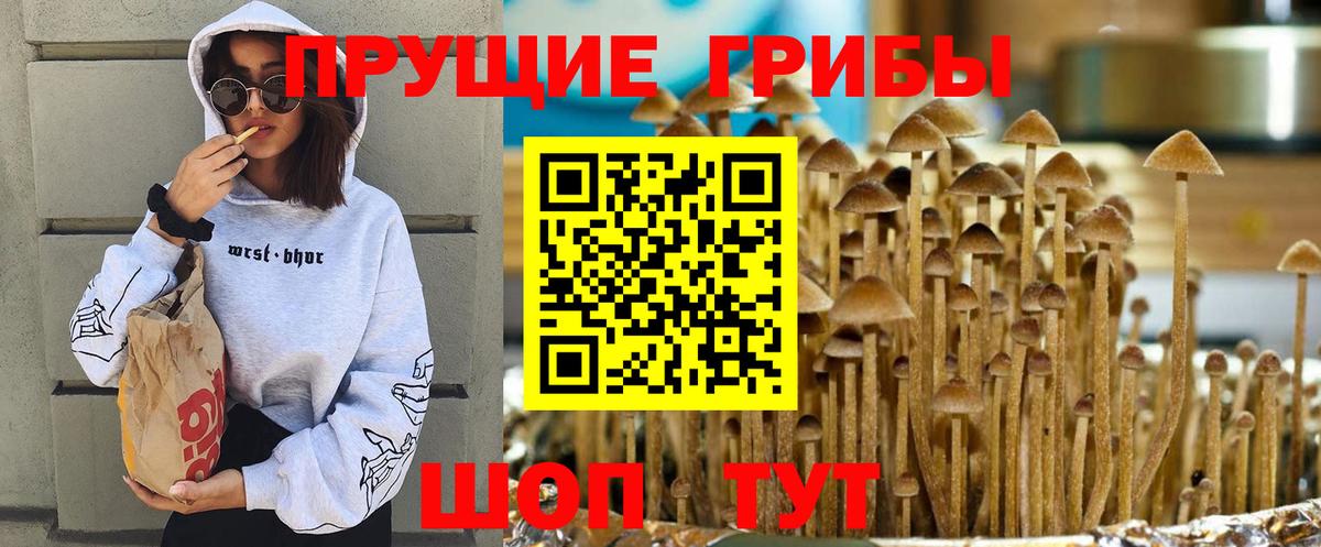 Галлюциногенные грибы MAGIC MUSHROOMS  Псилоцибиновые грибы Psilocybine cubensis  Ишимбай  Вход с VPN 