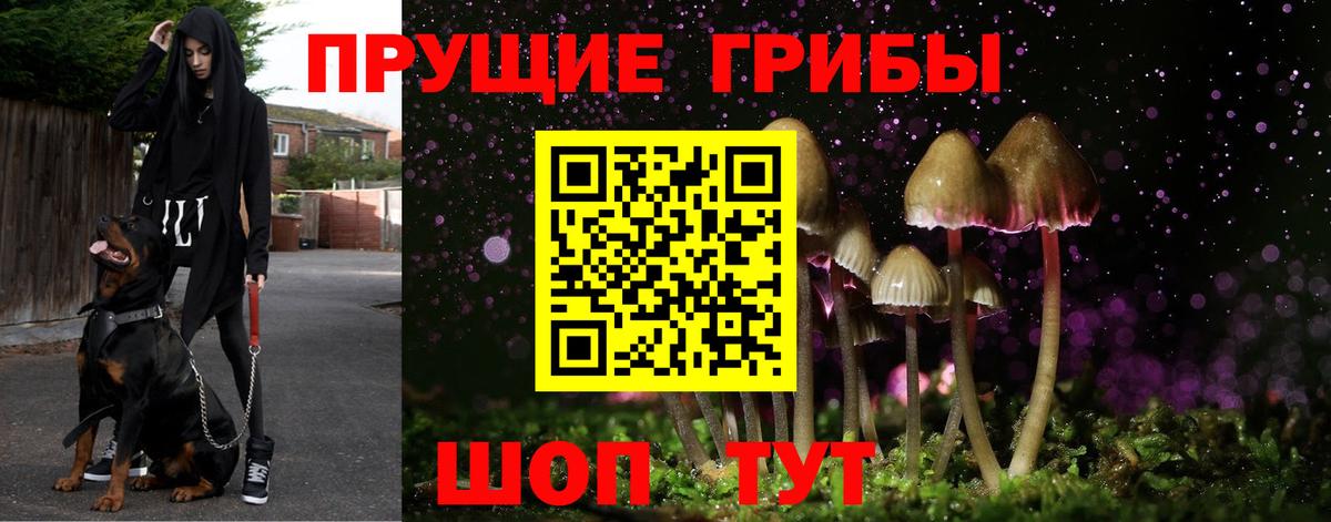 Галлюциногенные грибы Cubensis Ишимбай